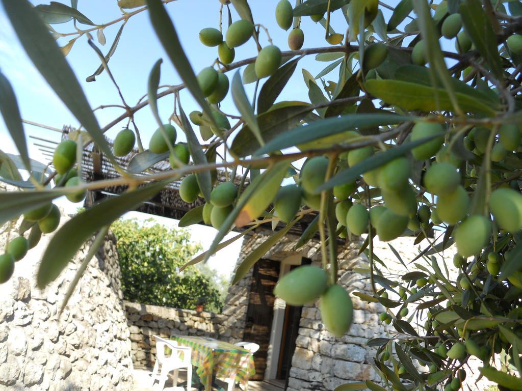 Agriturismo Specchiarussa モルチャーノ・ディ・レウカ 部屋 写真