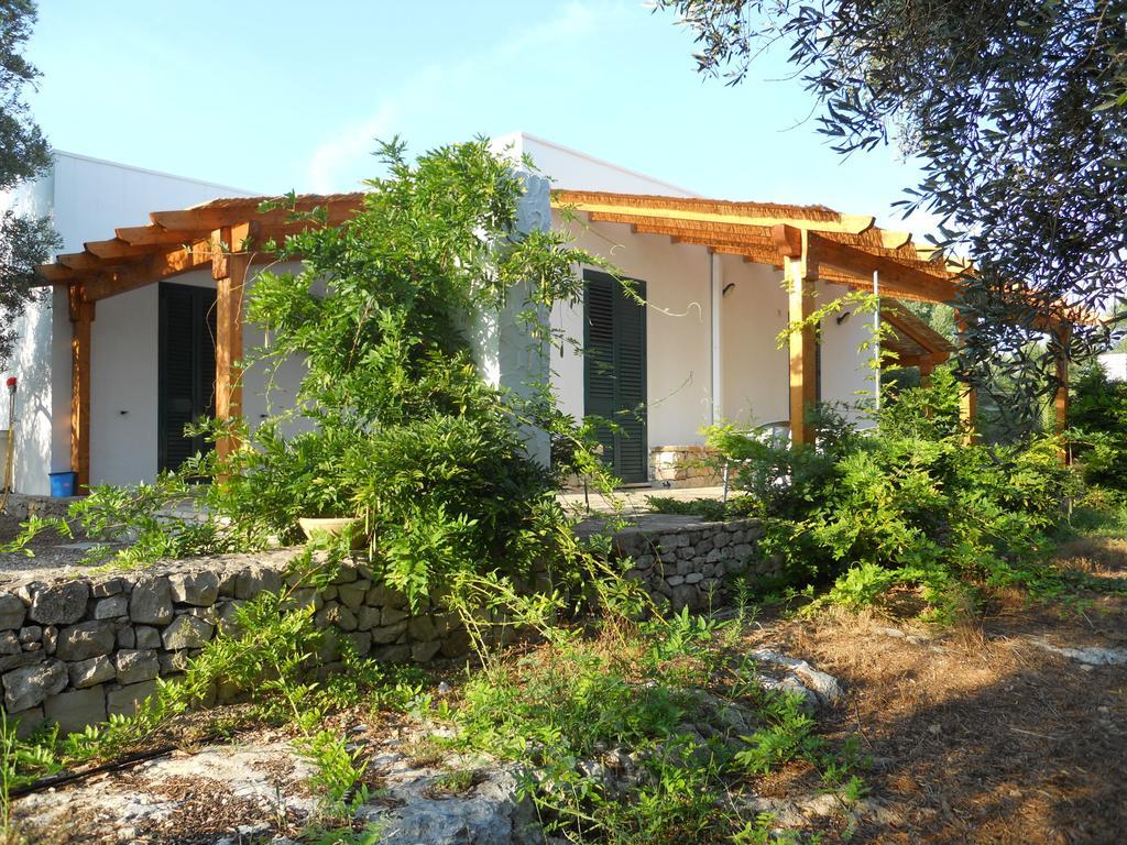 Agriturismo Specchiarussa モルチャーノ・ディ・レウカ エクステリア 写真